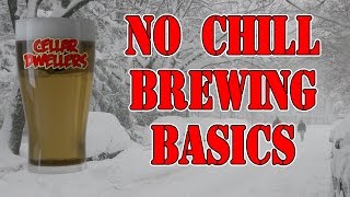 NO CHILL Home Brewing BASICS [upl. by Rot]