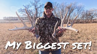 The Biggest Set We Have Ever Found  Iowa Shed Hunting [upl. by Eekorehc]