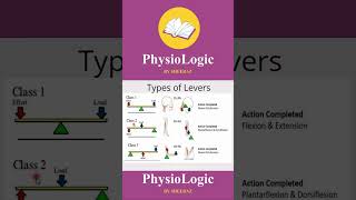 Types of Lever In 1 Minute levers typesoflever kinesiology [upl. by Larimor]