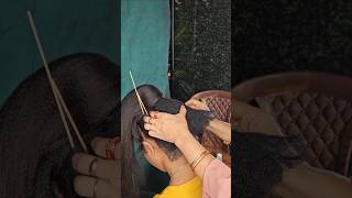 Ball backcombing process how to make hairstyle base shortvideo hair shortsfeed shorts [upl. by Wachtel]