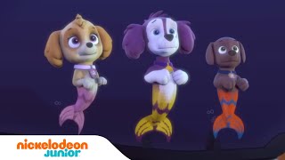 PAW Patrol  Les chienssirènes aident la Pat Patrouille en mission  Nick Jr [upl. by Enelyak]