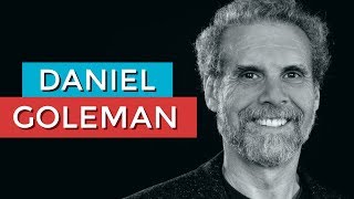 DANIEL GOLEMAN E A INTELIGÊNCIA EMOCIONAL  RODRIGO FONSECA [upl. by Nennek669]