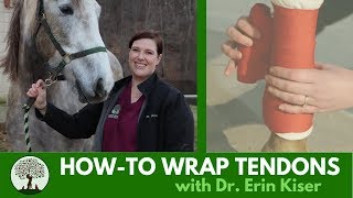 Howto Properly Wrap Tendons with Dr Erin Kiser [upl. by Malvin]