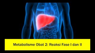 Metabolisme Obat 2 Reaksi Fase I dan II [upl. by Elinad]