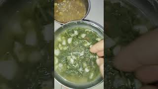 Pakhala bhata aloo bilati gravy aloo palango sago [upl. by Gui]