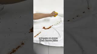 How to Remove Hot Sauce Stains Easy Steps for a Clean Result [upl. by Gokey]