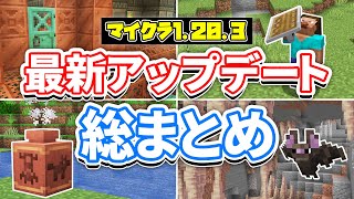 【マイクラ1203】最新アップデート総まとめ‼壺にアイテムが収納可能に！コウモリの見た目変更＆121要素で遊ぶ方法・バグ修正など詳しく解説！【マインクラフト】統合版12050最新情報 [upl. by Clippard955]