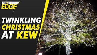 Kew Gardens Christmas lights twinkle with over 1 million lights  WION Edge [upl. by Arrait696]