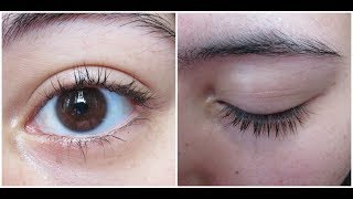 Does Vaseline really help your eyelashes and eyebrows grow [upl. by Maurili]