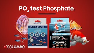 Colombo Pond Phosphate PO4 Test [upl. by Ahsinnod136]