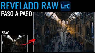 Revelado PASO a PASO de un RAW en Lightroom 2024 [upl. by Anib]