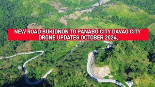 Bagong Bypass Road Sanfernando Bukidnon To Panabo City Davao City Updates October 2024 [upl. by Kcirdle]