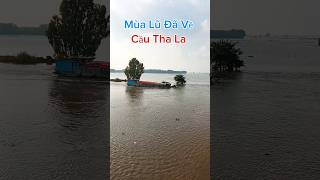 HTV MT  Cầu Tha La Và Mùa Lũ Đã Về htvmt [upl. by Elrak]