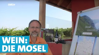 Werner erklärt Wein Die Mosel [upl. by Leanor913]