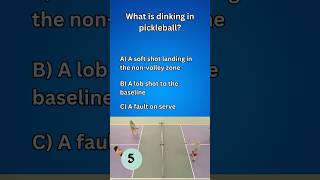 Pickleball Quiz 3334 Dinking amp Lob Shots Explained 🎾  pickleball660 [upl. by Quartet420]