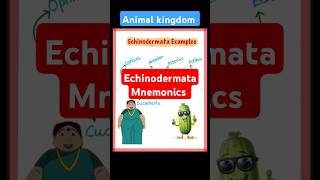 Mnemonics Echinodermata biology neet2025 neet25 neetexam neetpreparation [upl. by Rolyak595]