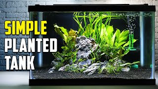 How To Build A Beautiful Planted Tank For Fish Easy [upl. by Niabi961]