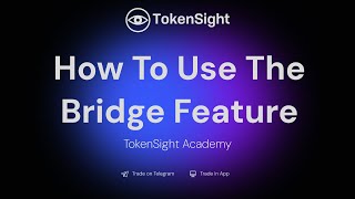 How To Use The Bridge Feature  TokenSight Academy [upl. by Nueormahc]