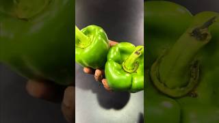 இதுல இப்படி ஒரு ரகசியமா  🔥 Selecting Capsicum Like a Pro capsicum bellpeppers cooking [upl. by Emersen863]