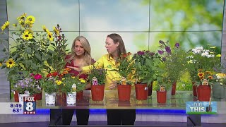 Pollinator Gardening tips from Petitti Garden Centers [upl. by Shult144]