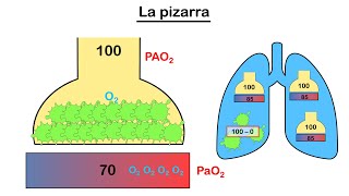 Formas de medir la oxigenación Parte 2 PaFi y gradiente alveolo  arterial 🤓 [upl. by Okun]