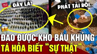 Hớn hở đào KHO BÁU ở dưới nhà người nông dân TÁI MẶT khi biết chính xác ĐẤY LÀ GÌ  Động Tiin [upl. by Cirenoj501]