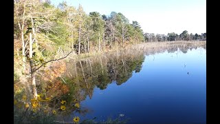 Black Run Preserve NJ USA Oct  Nov 2024 [upl. by Animehliw821]