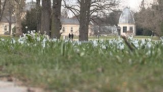 Frühling im Frankfurter Palmengarten [upl. by Theona631]