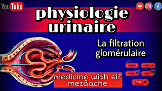 3 La Filtration Glomérulaire  Physiologie 2éme Med [upl. by Ikik204]