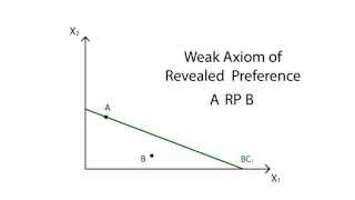 A14 Revealed preference  Consumption  Microeconomics [upl. by Reddy]