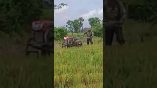 Farmers plow in deep water farming bulldozer plowing field machine family [upl. by Alleusnoc752]