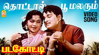 Thottal Poo Malarum  HD Video Song  தொட்டால் பூ மலரும்  Padagotti  MGR  Saroja Devi [upl. by Alo306]