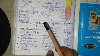 Plasma Proteins Albumin Globulin amp Fibrinogen physiology plasma protein [upl. by Rafa]