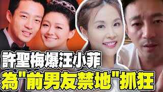 汪小菲就是放不下大S 許聖梅爆他曾為quot前男友禁地quot當眾抓狂 funseeTW [upl. by Faline]