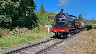 Lineside at New Bridge NYMR [upl. by Dix]