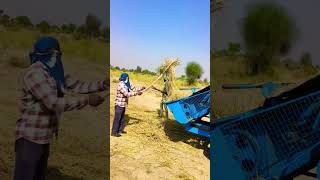 Multicrop thresher agriculture farmer YouTubeshort multitechharvest [upl. by Keare]