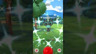 Shiny Noibat in Pokémon Go✨️😎 2024 newshinypokemon pokemon shinypokemon pokemingo newshiny [upl. by Eyllek]