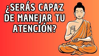 Meditación Budista Estar en presente aquí y ahora [upl. by Benedicta]