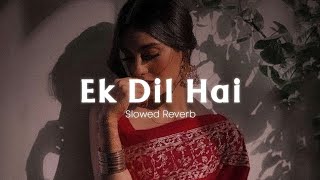 Ek Dil Hai  SlowedReverb Ek Rishtaa  Akshay Kumar Karisma Kapoor  Hindi Romantic Song [upl. by Abbe]