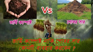 ভার্মি কম্পোস্ট নাকি গোবর সার ব্যবহার করবেনVarmicompost Vs Gobor Saragri agriculture garden [upl. by Avery51]