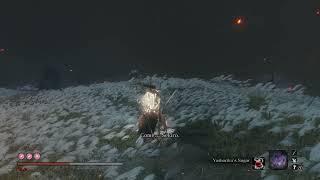 Sekiro  Inner Isshin mortal draw counter headon without spinning umbrella [upl. by Gregory58]