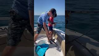 Almaco Jack fish fishing gulfofmexicofishing shark gulfofmexico [upl. by Austina272]