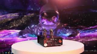 Nobsound NS10P Mini Vacuum Tube Stereo Preamp HiFi Home Audio PreAmplifier [upl. by Davy]