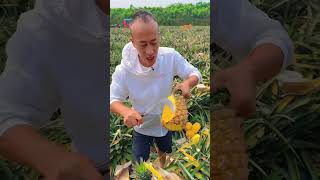 Pineapple 🍍।। fruit lover pineapple fruitcutting wildlifephotography shortvideo viralvideo [upl. by Laup149]