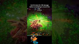 Dreadie got the ZOOMIES deeprockgalacticsurvivor gaming funnybug [upl. by Sutphin]