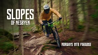 SLOPES of Nesbyen  Norways MTB Paradise [upl. by Nayab]