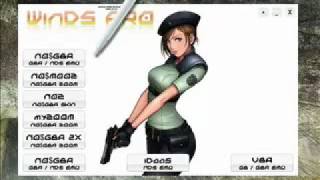 old version WinDS Pro v14  Nintendo DSGBA Emulator Pack working NOGBA [upl. by Mcgruter]