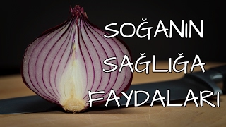 SOĞANIN SAĞLIĞA FAYDALARI [upl. by Alisen]