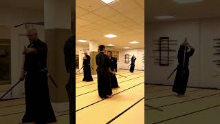 Mugai Ryu  Wakizashi Kata Ukenagashi [upl. by Schnell]