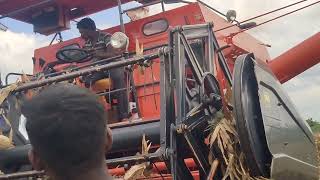 Dasmesh 9100 Harvester Farming Video  Big Harvester Corn Farming farmer harvesting corn views [upl. by Zigmund21]